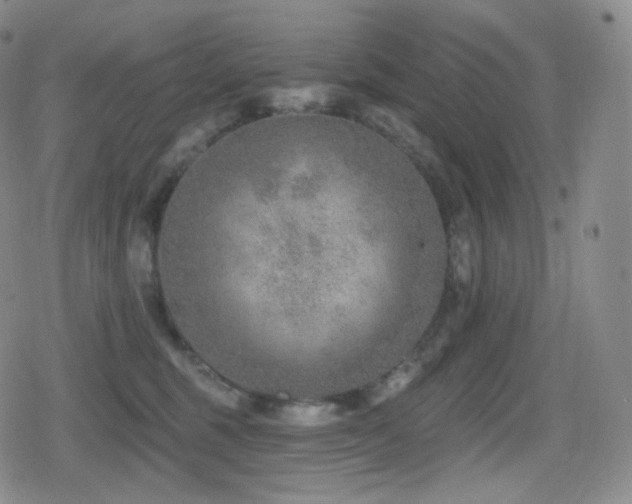 X0000080720375200612151205