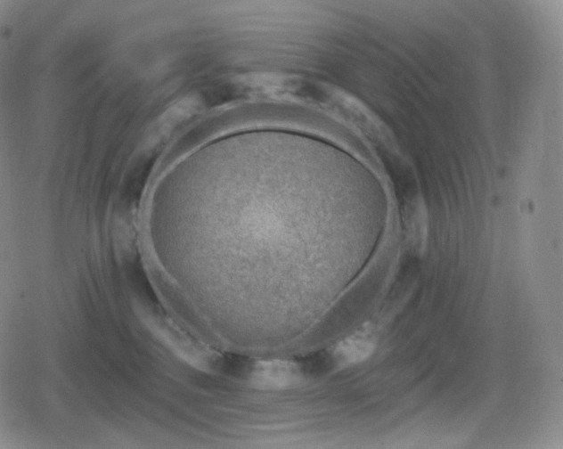 X0000080720376200612151205