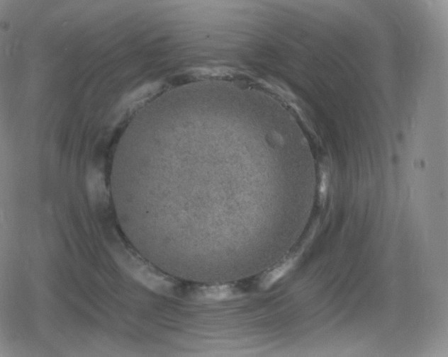 X0000080720377200612151205