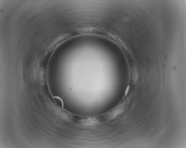 X0000080720378200612151205