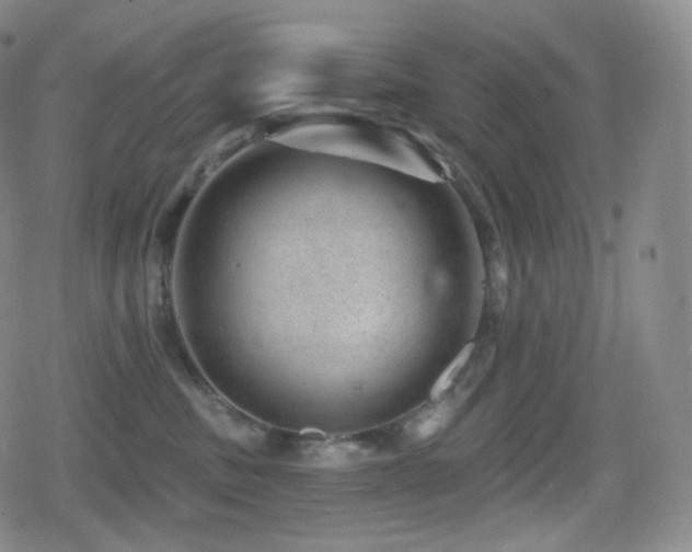 X0000080720379200612151205