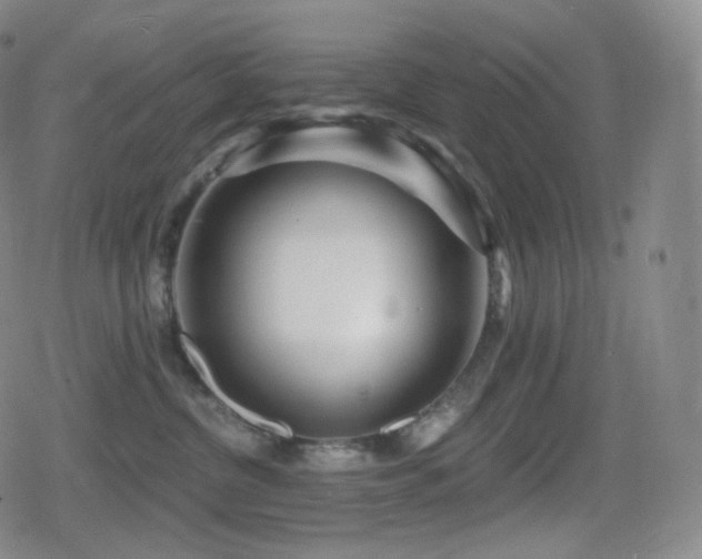 X0000080720380200612151205