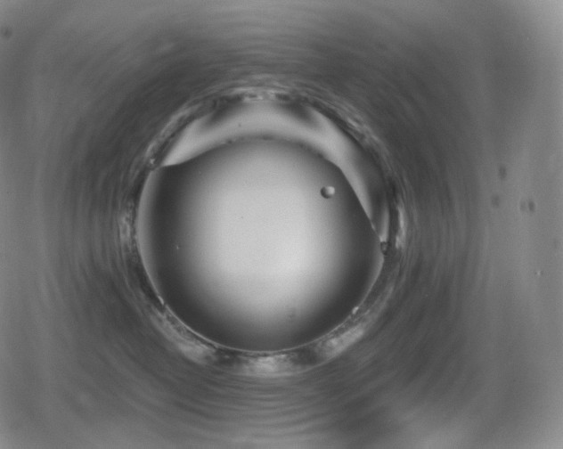 X0000080720382200612151205