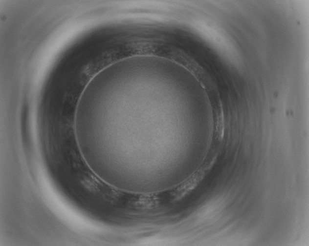 X0000080720383200612151205