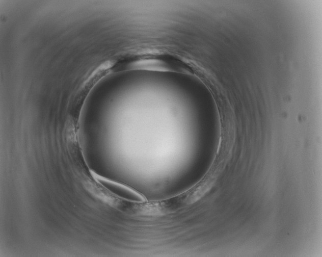 X0000080720384200612151205