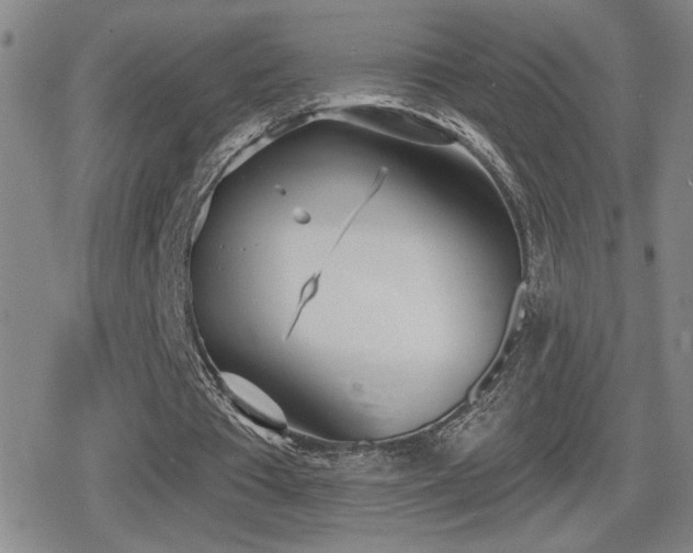 X0000080720385200612151204