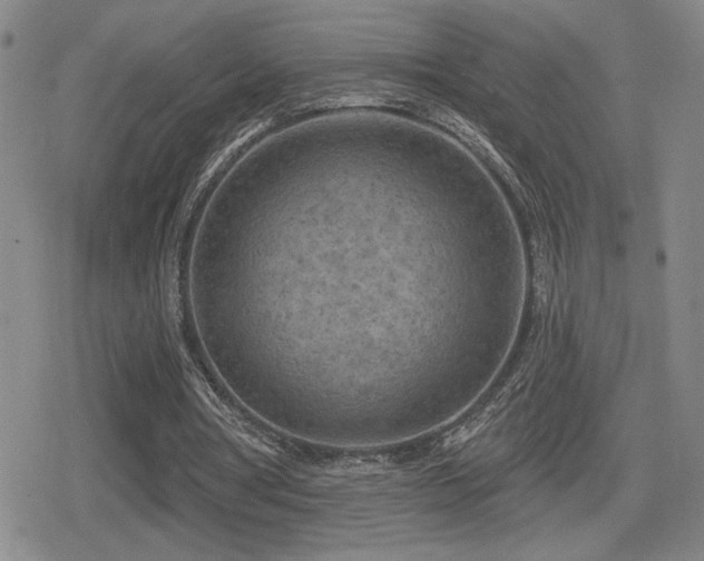 X0000080720386200612151204