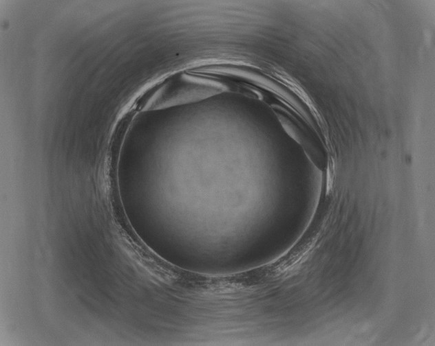 X0000080720387200612151204