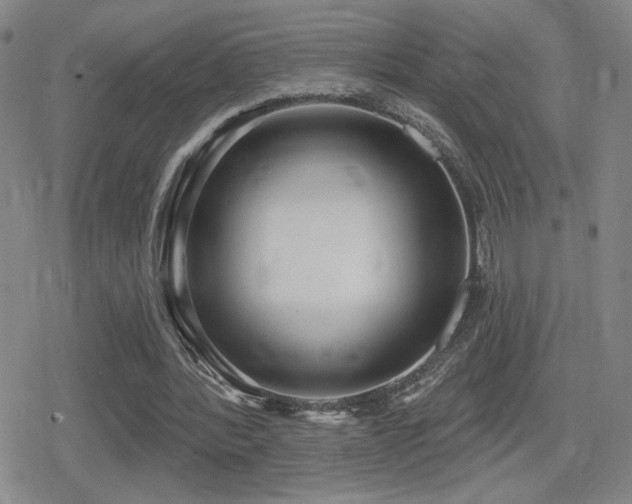 X0000080720388200612151204