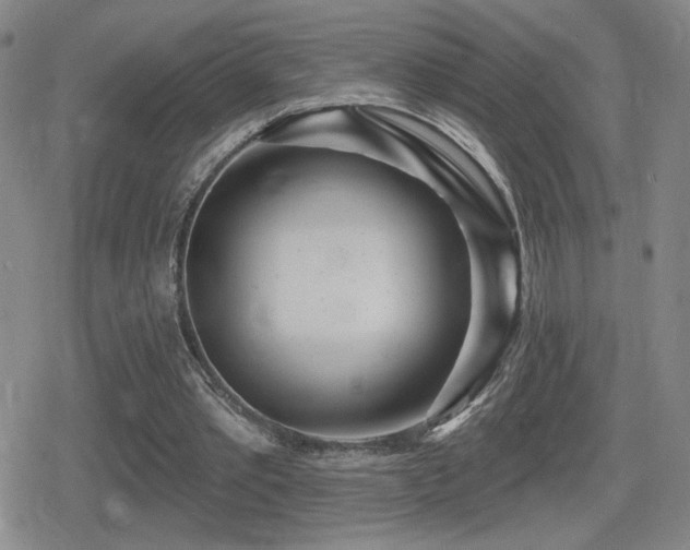 X0000080720389200612151204