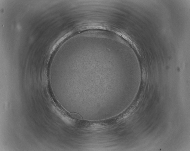 X0000080720390200612151204