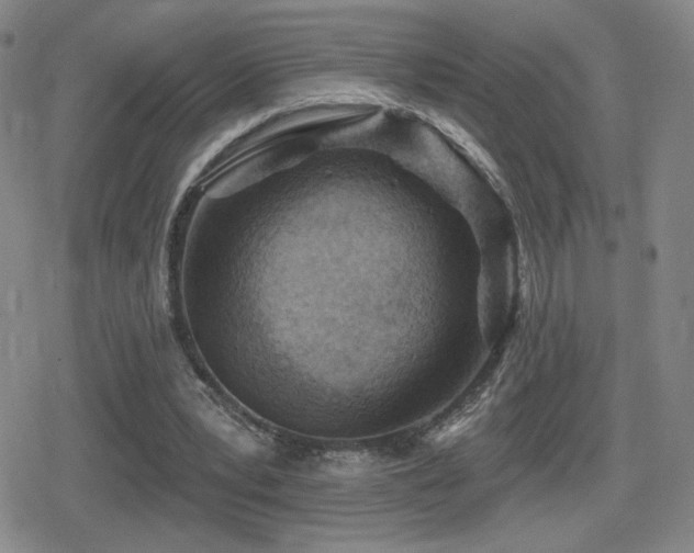 X0000080720391200612151204