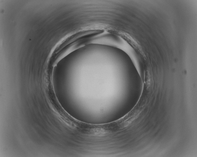 X0000080720392200612151204