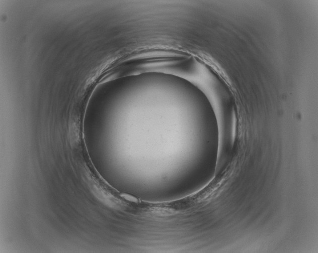 X0000080720393200612151204