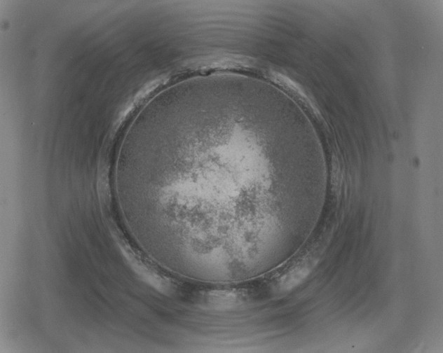 X0000080720394200612151204