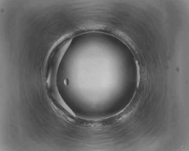 X0000080720395200612151204