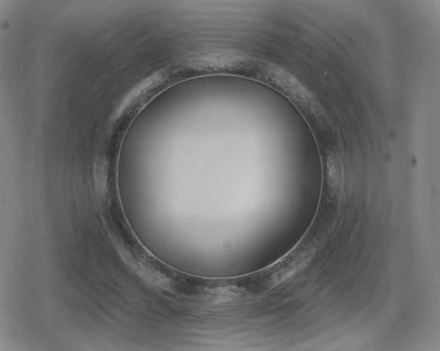 X0000080720396200612151204