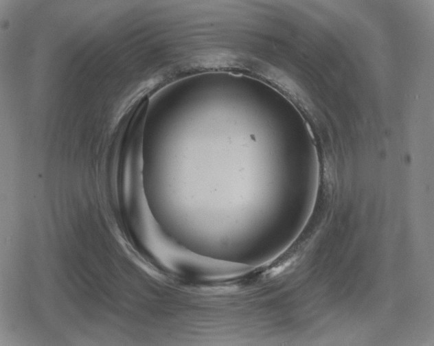 X0000080720397200612151204