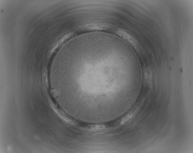 X0000080720398200612151204