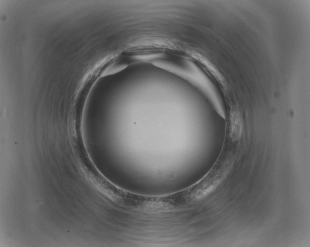 X0000080720399200612151204