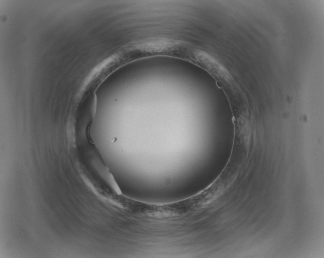 X0000080720400200612151204