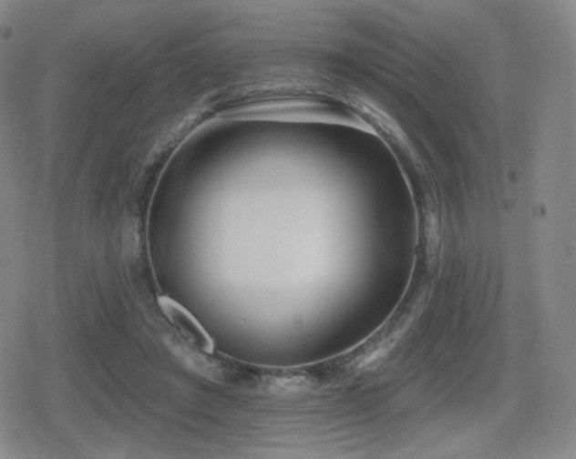 X0000080720401200612151204