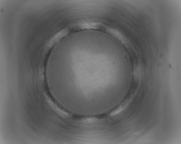 X0000080720402200612151204