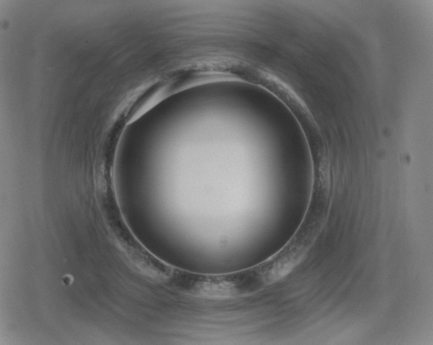 X0000080720403200612151204