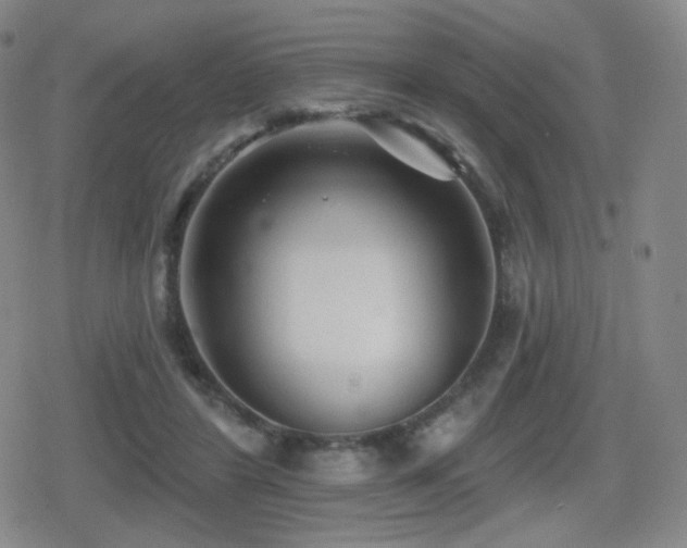 X0000080720404200612151204