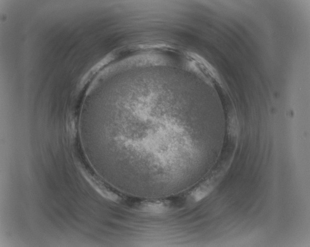 X0000080720405200612151204