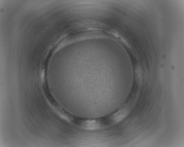 X0000080720406200612151204