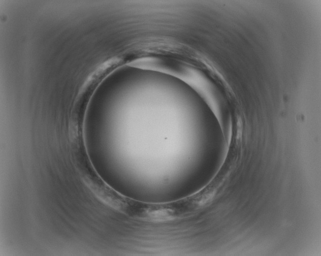 X0000080720407200612151204