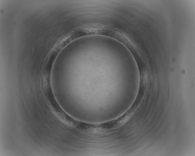 X0000080720408200612151204