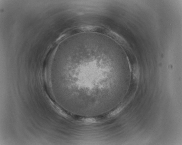 X0000080720409200612151204