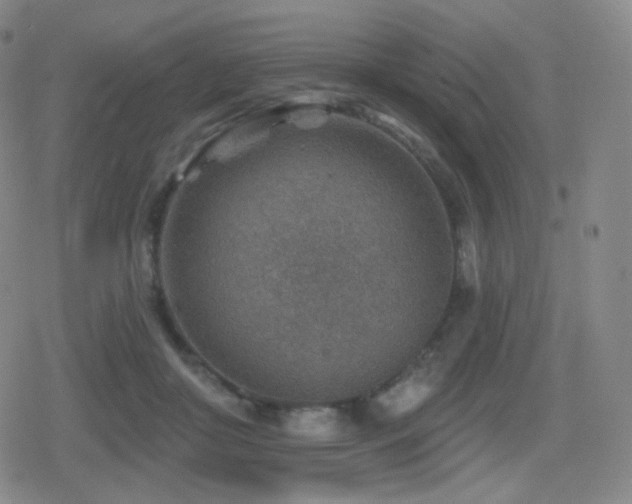 X0000080720410200612151204