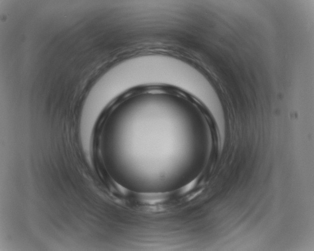 X0000080720411200612151204