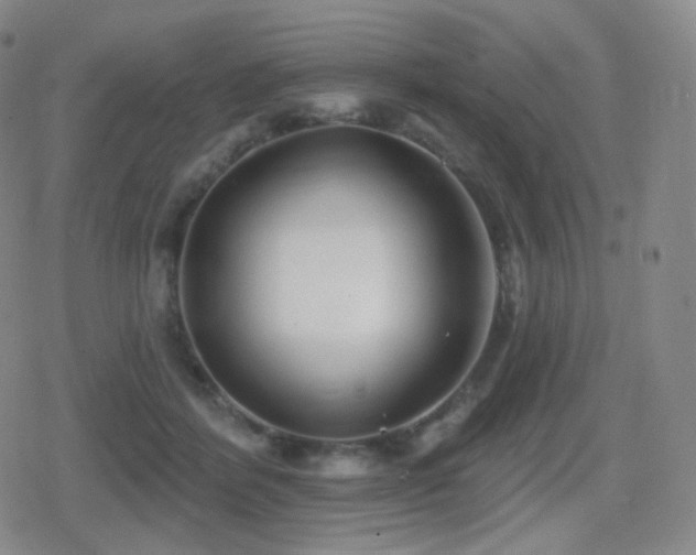 X0000080720412200612151204