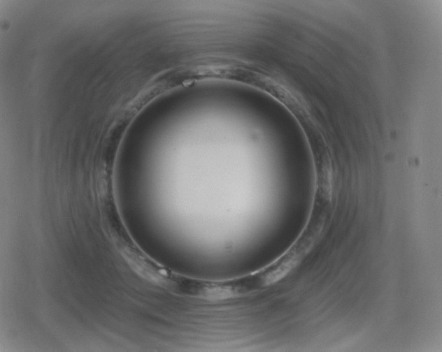 X0000080720413200612151204