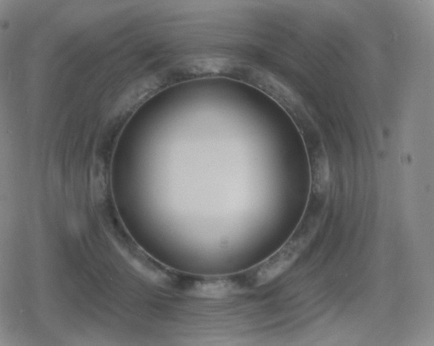 X0000080720414200612151204