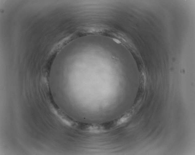 X0000080720415200612151204