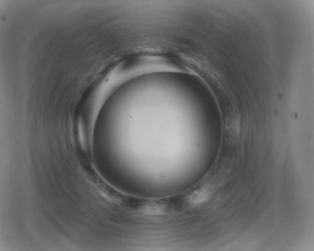 X0000080720416200612151204