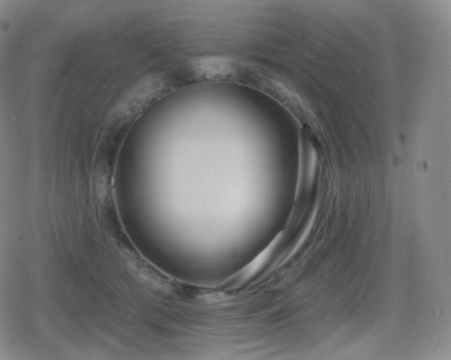 X0000080720417200612151204