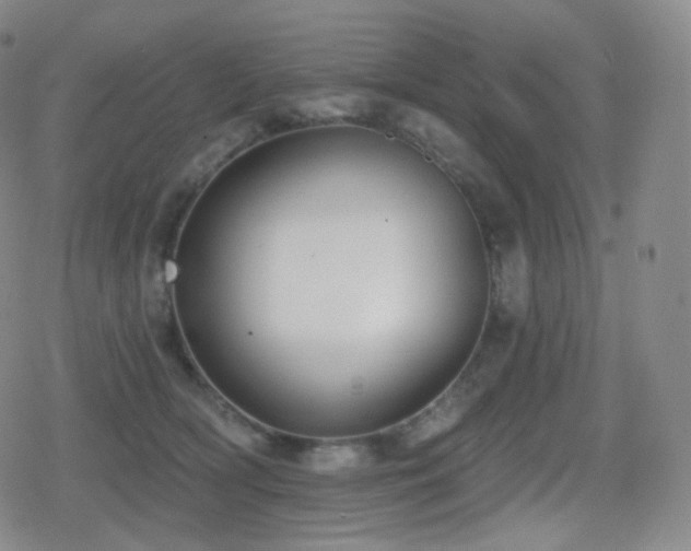 X0000080720418200612151204