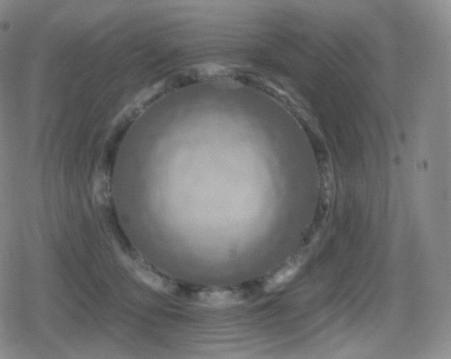 X0000080720419200612151204