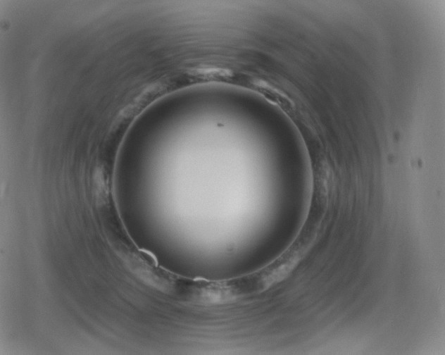 X0000080720420200612151204