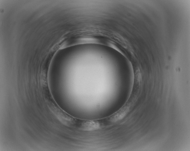 X0000080720421200612151204