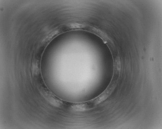 X0000080720422200612151204