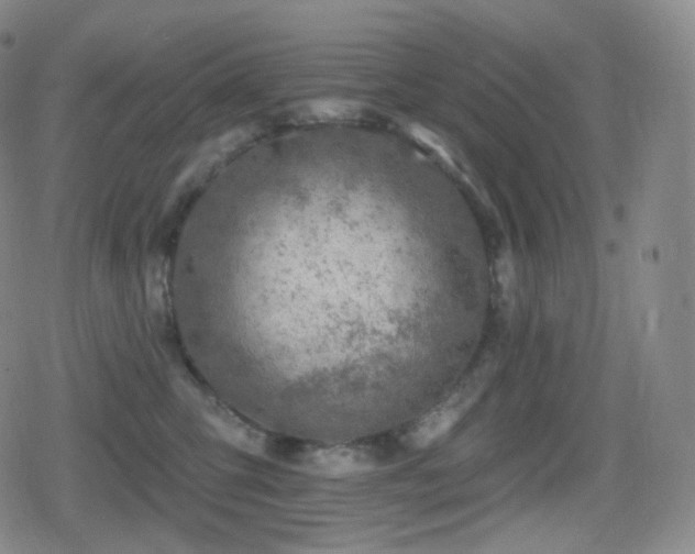 X0000080720423200612151204