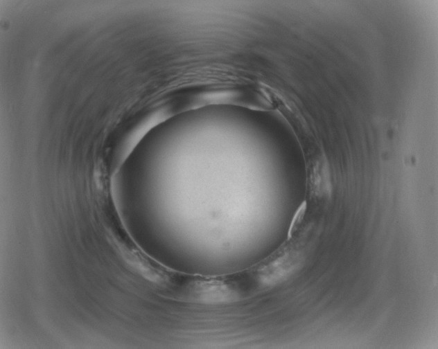 X0000080720424200612151203