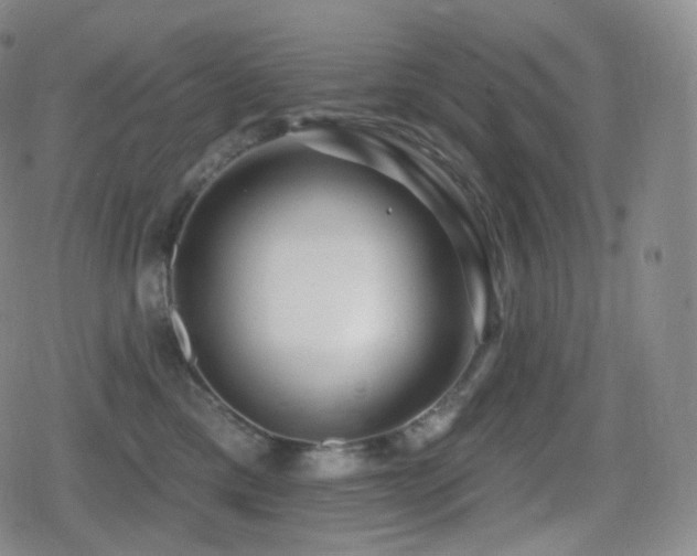 X0000080720425200612151203